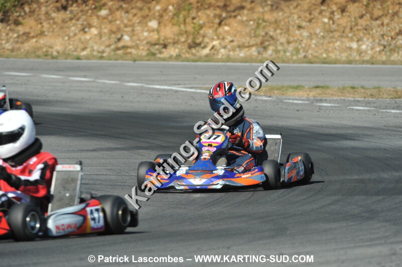 DSC_ (1176).JPG